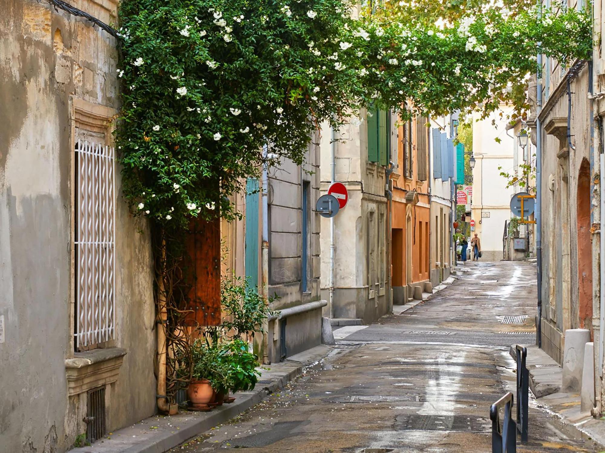 Hebergements Modernes & Cosy A Arles T3 Et T2 Elegants Ngoại thất bức ảnh